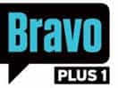 The logo of Bravo +1