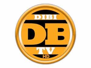 DiBi TV logo