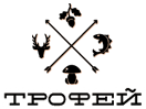 The logo of Trofey
